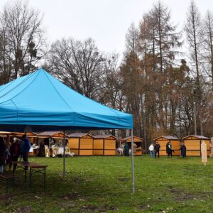 Wsparcie Wolności